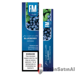 FM E-Stix Blueberry